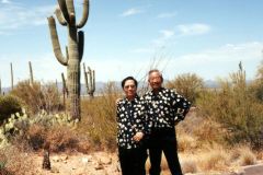 2-Phoenix-Tucson-ElPaso_bmg625
