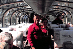 20041804